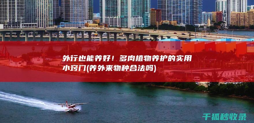 外行也能养好！多肉植物养护的实用小窍门 (养外来物种合法吗)