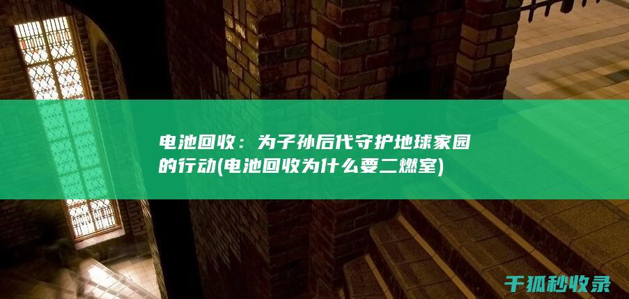 电池回收：为子孙后代守护地球家园的行动 (电池回收为什么要二燃室)