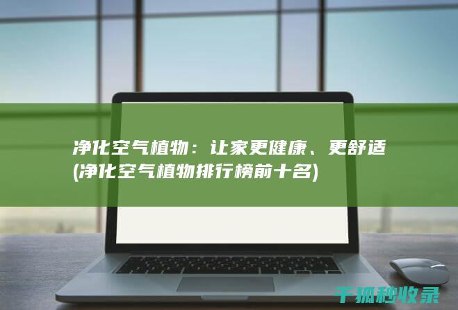 净化空气植物：让家更健康、更舒适 (净化空气植物排行榜前十名)