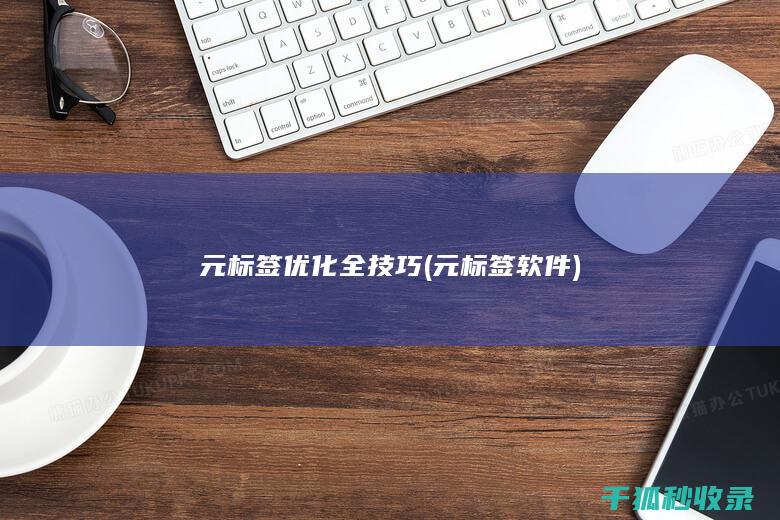 元标签优化全技巧 (元标签软件)