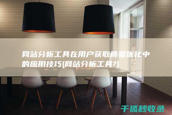 网站分析工具在用户获取质量优化中的应用技巧 (网站分析工具?)