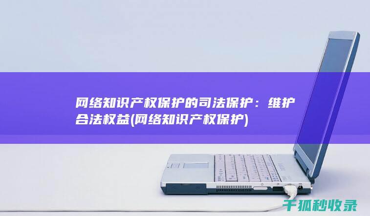 网络知识产权保护的司法保护：维护合法权益 (网络知识产权保护)