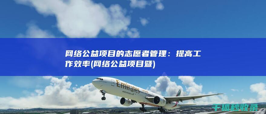 网络公益项目的志愿者管理：提高工作效率 (网络公益项目暨)