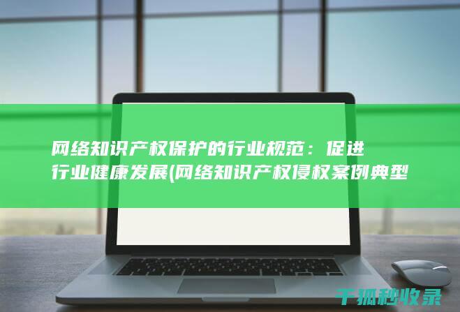 网络知识产权保护的行业规范：促进行业健康发展 (网络知识产权侵权案例典型)