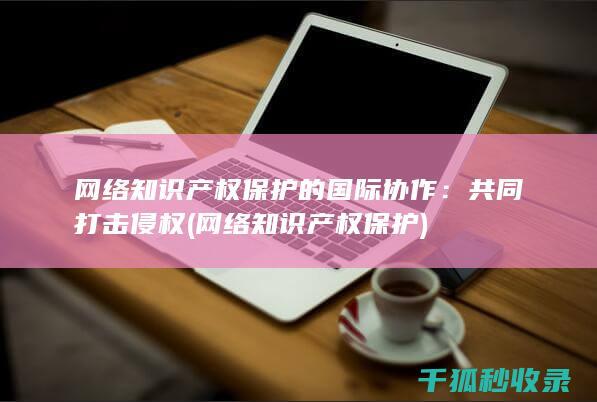 网络知识产权保护的国际协作：共同打击侵权 (网络知识产权保护)
