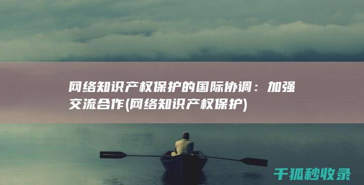网络知识产权保护的国际协调：加强交流合作 (网络知识产权保护)