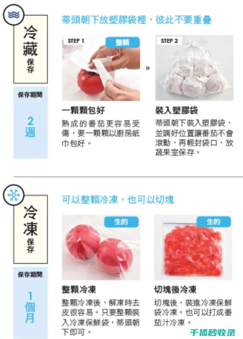 食材保鲜秘籍：延长食物新鲜期的实用技巧 (食材保鲜秘籍大全)