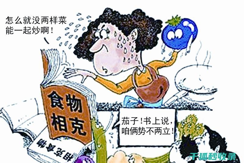食物相克小常识：健康饮食的必修课 (食物相克小常识图片)