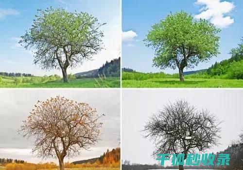 如何根据季节变化调整窗帘的清洗周期？ (如何根据季节进行养生)