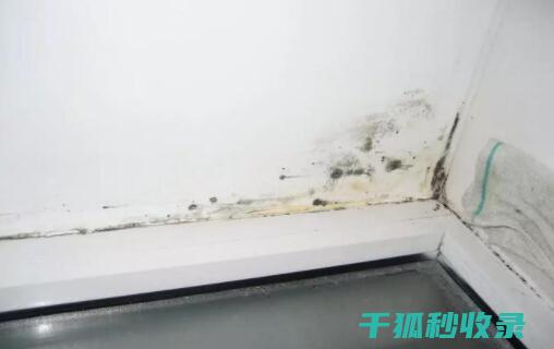 墙面污渍处理：日常维护与紧急修复的区别 (墙面污渍处理小妙招)