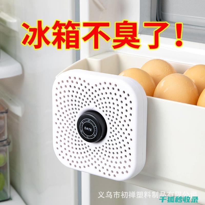 冰箱除味全分享：90个让你的冰箱气味清新自然的秘诀 (冰箱除味技术类型)