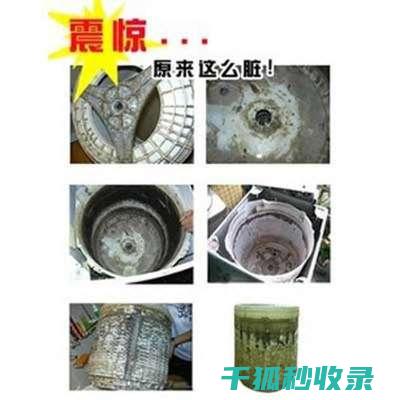 洗衣机内筒清洁与防腐：延长洗衣机寿命的小秘诀 (洗衣机内筒清洁剂如何用)