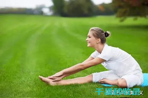 久坐族的拉伸运动全揭秘：隐藏的健康小秘密 (久坐拉伸动作)