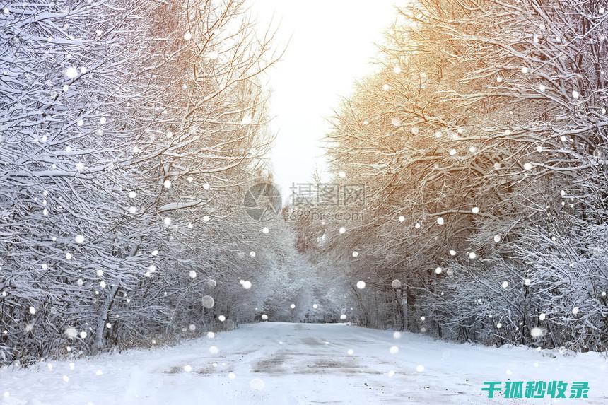 雪天防滑技巧：让你在冰雪中如履平地 (雪天防滑技巧视频)