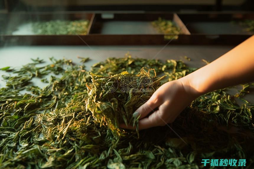 晒后的轮胎胎压检测，夏季行车安全的基石！ (轮胎暴晒)