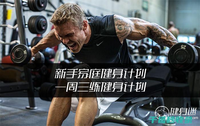 应季健身计划：秋季增强体质的最佳方案 (夏季健身计划)