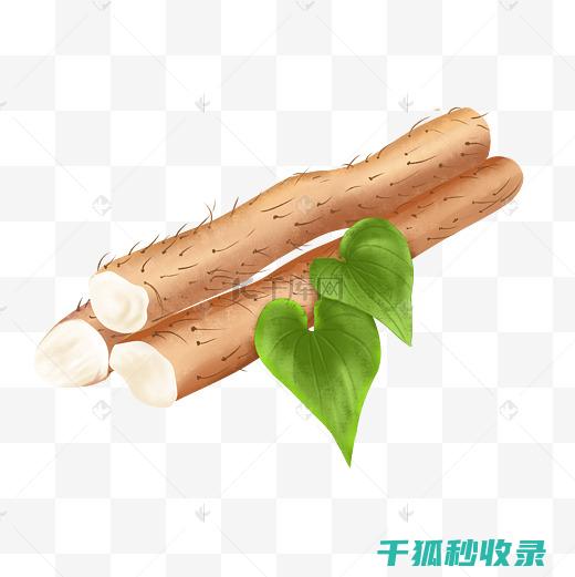 应季美食体验：秋季美食餐厅推荐 (应季美食有哪些)