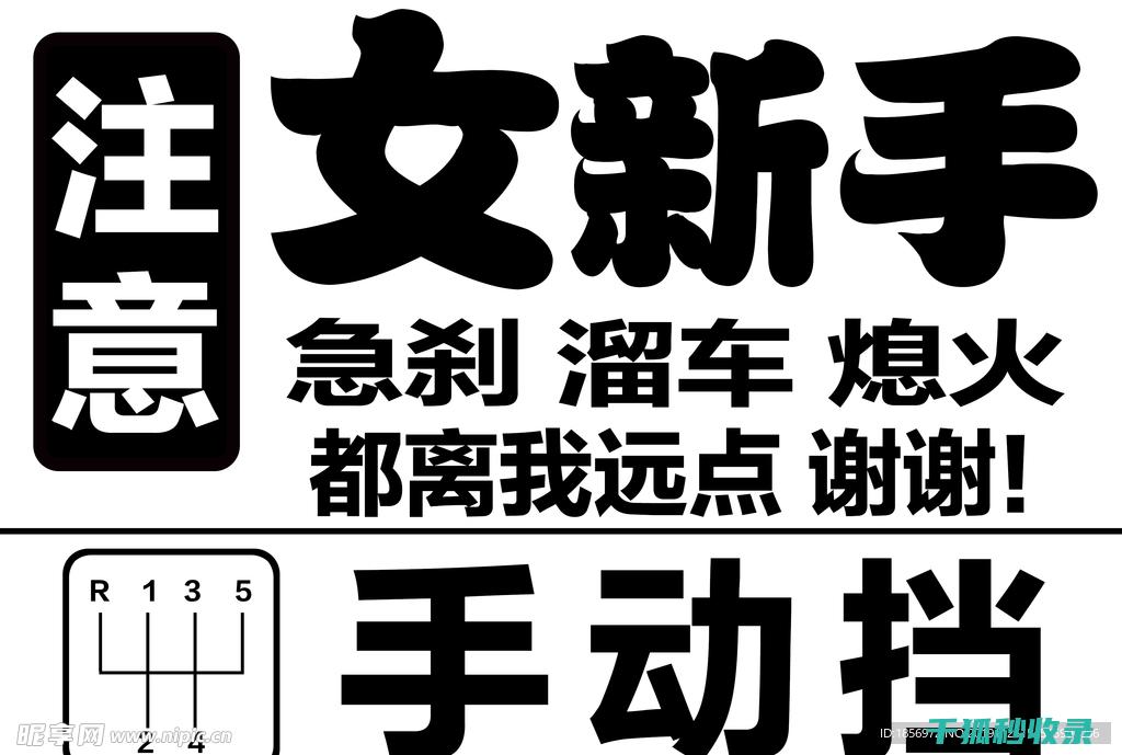 新手必看！多肉植物养护技巧大揭秘 (新手必看!多肉这样养,叶片肥厚不烂根,一年四季都爆盆!)