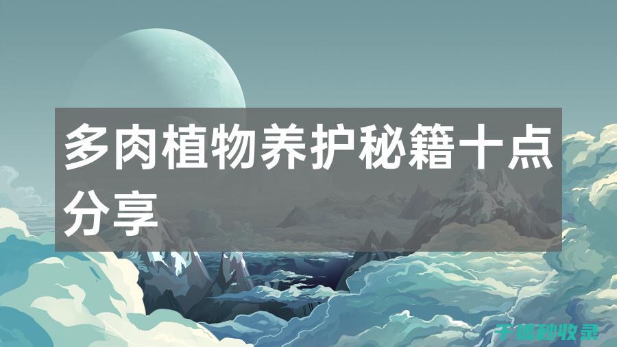 多肉植物养护全知道：光照、土壤和水分的重要性 (多肉植物养护技巧)