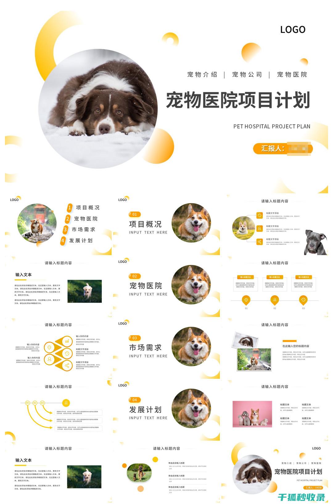宠物驱虫周期：科学规划，守护宠物健康 (宠物驱虫周期建议)