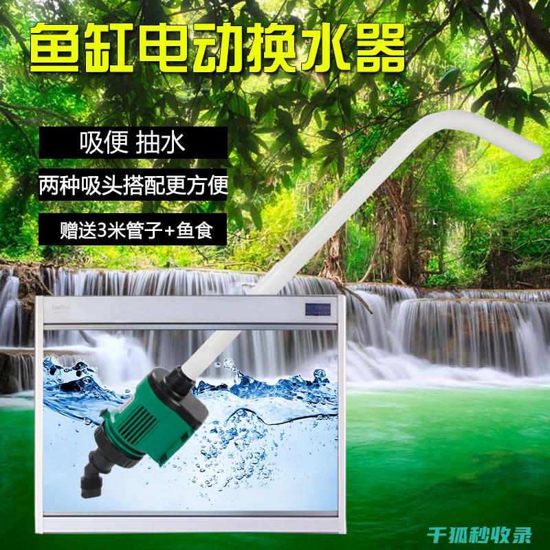 水族箱清洁注意事项：避免对鱼儿造成应激反应 (水族箱清洁注意事项)