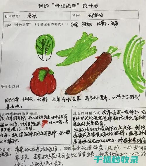 盆栽土壤配比：适合多肉植物的特殊配方 (盆栽土壤配比方法)