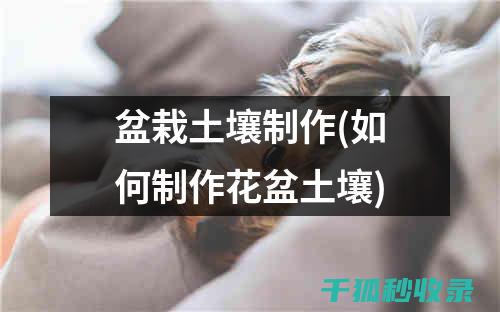 盆栽土壤配比：适合不同矿物质需求植物的配方要点 (盆栽土壤配比方法)