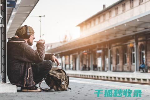 流浪动物救助：城市中的公益新风尚 (流浪动物救助中心)