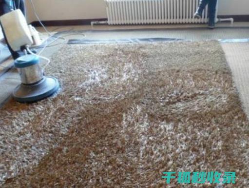地毯污渍去除全指南：从基础到进阶的清洁之道 (地毯污渍去除办法)