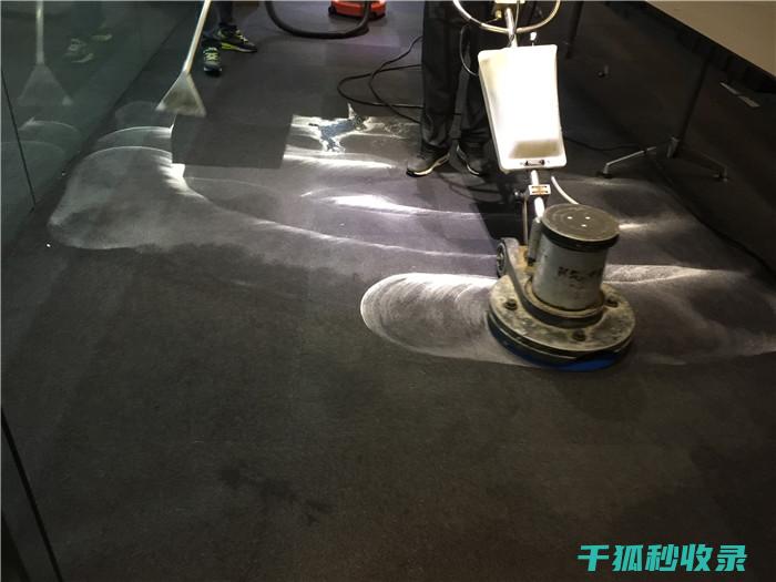 地毯污渍去除全解析：从原理到实践的深度剖析 (地毯污渍去除办法)