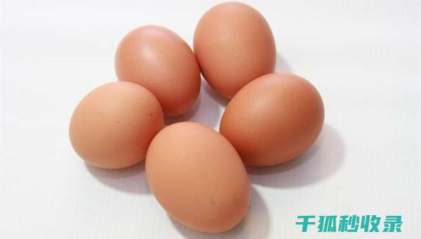 鸡蛋保鲜秘籍：实用的储存和处理技巧 (鸡蛋保鲜秘籍怎么做)