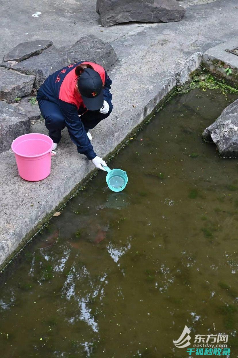 蚊虫叮咬后止痒，这些方法你必须知道 (蚊虫叮咬后止痒)