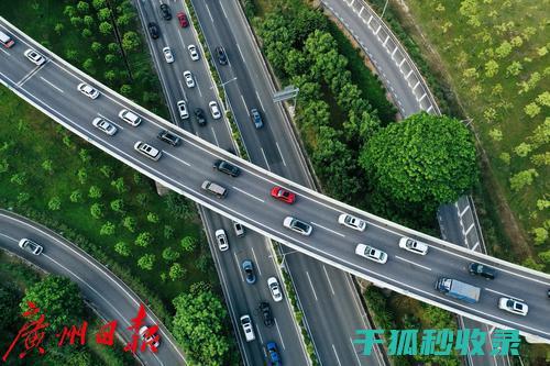 快速解冻肉类：省时又省力的秘密武器 (如果快速解冻肉类)