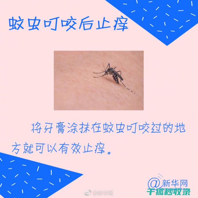 牙膏的隐藏功能：家居清洁的得力帮手 (牙膏的隐藏功效有哪些)