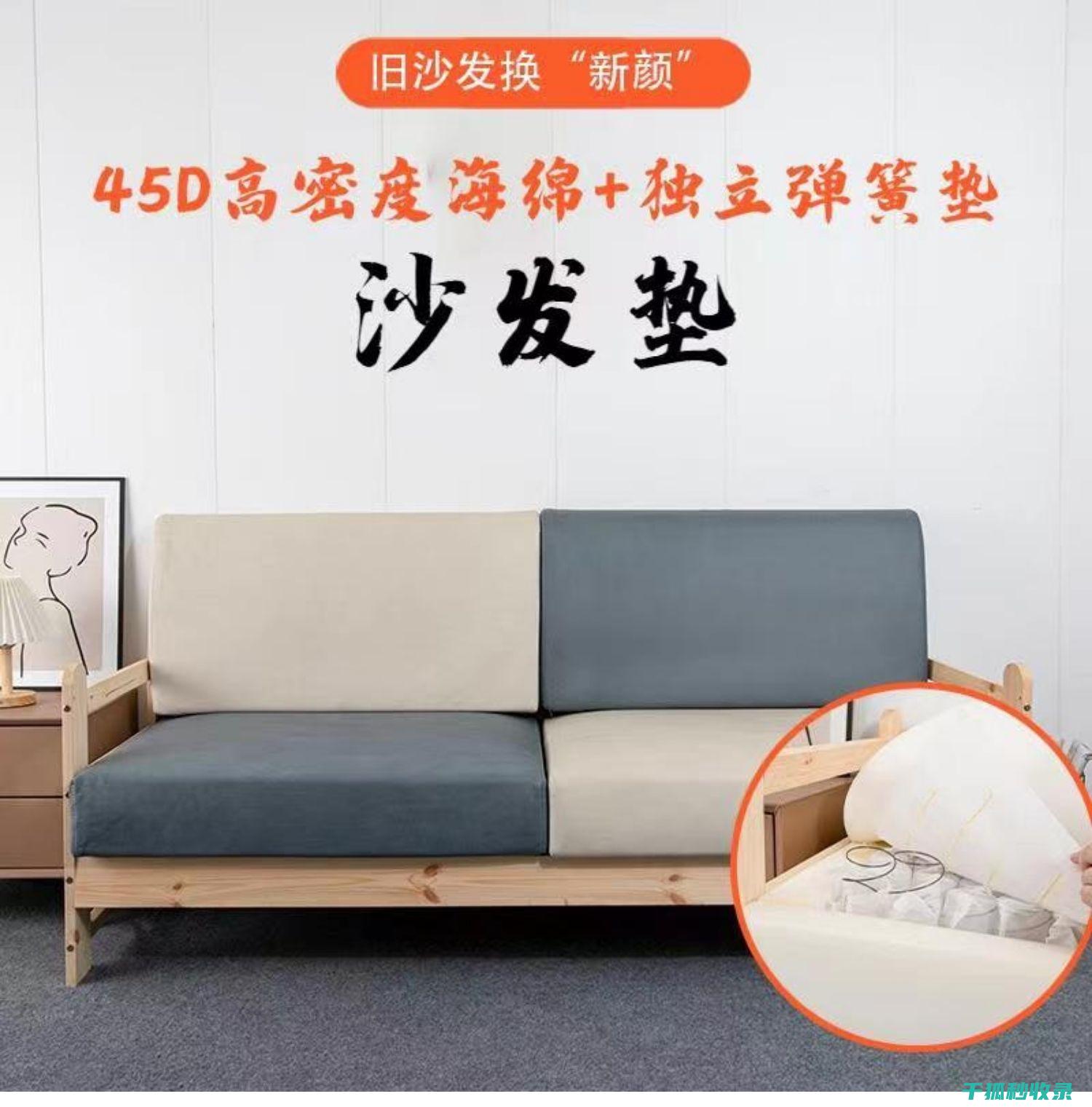 去除沙发坐垫上的霉点，让家居环境更卫生 (去除沙发坐垫异味)