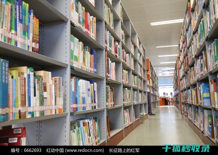 图书馆工作人员手册：关于马克笔痕迹的清理指南 (图书馆工作人员)