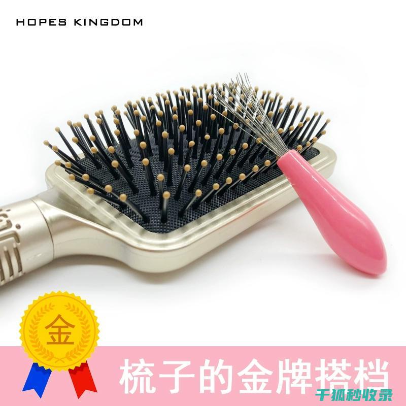 梳子清洁全解析：不同季节的清洁重点 (梳子清洁全解视频)