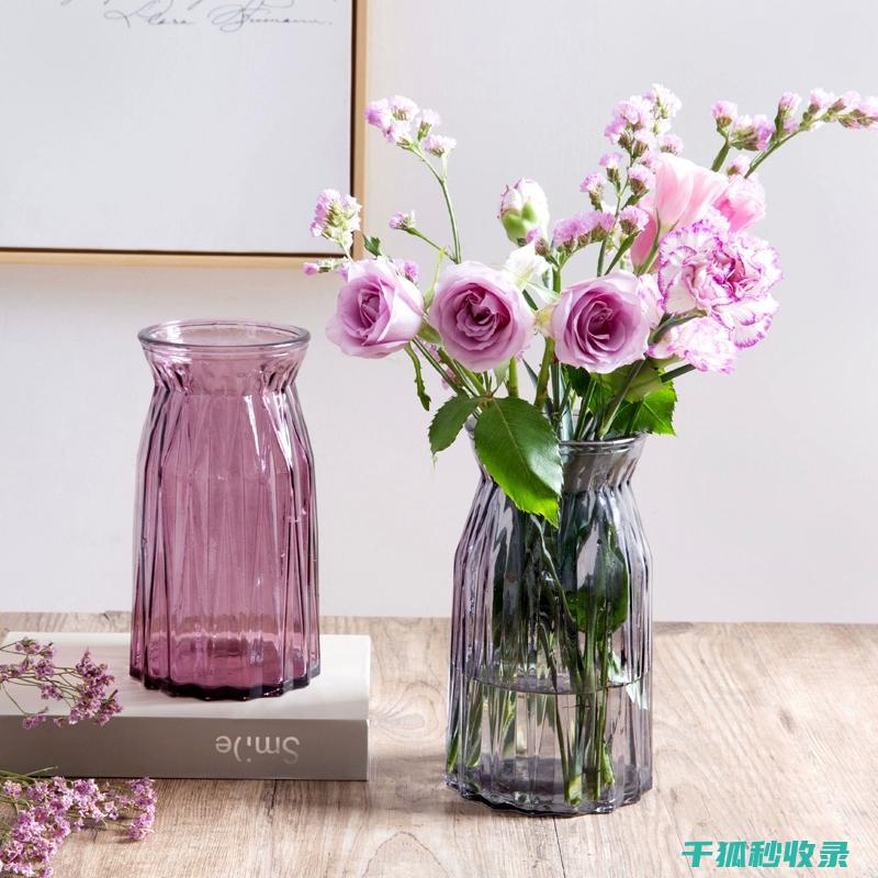花瓶清洁与家庭成员互动：增进亲子关系的机会 (花瓶清洁与家用的区别)