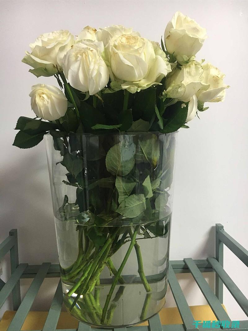 花瓶清洁的未来趋势：智能化清洁设备的应用 (花瓶清洗)