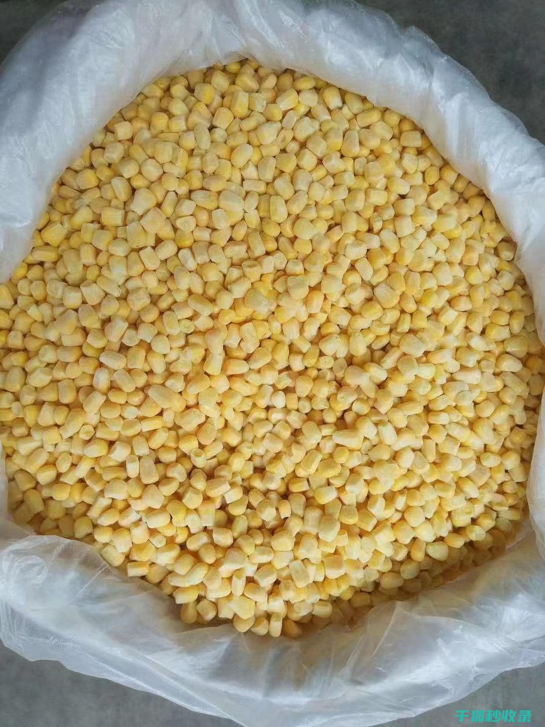蔬菜快速解冻技巧：冷水中浸泡法的秘密武器 (蔬菜快速解冻的方法)