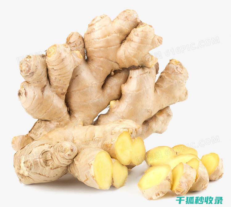 生姜保鲜技巧：正确保存方法全解析 (生姜保鲜技巧和方法)
