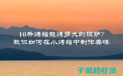 教你如何在烤箱中高效去除油污，保持厨房整洁 (教你如何在烤箱里烤肉)
