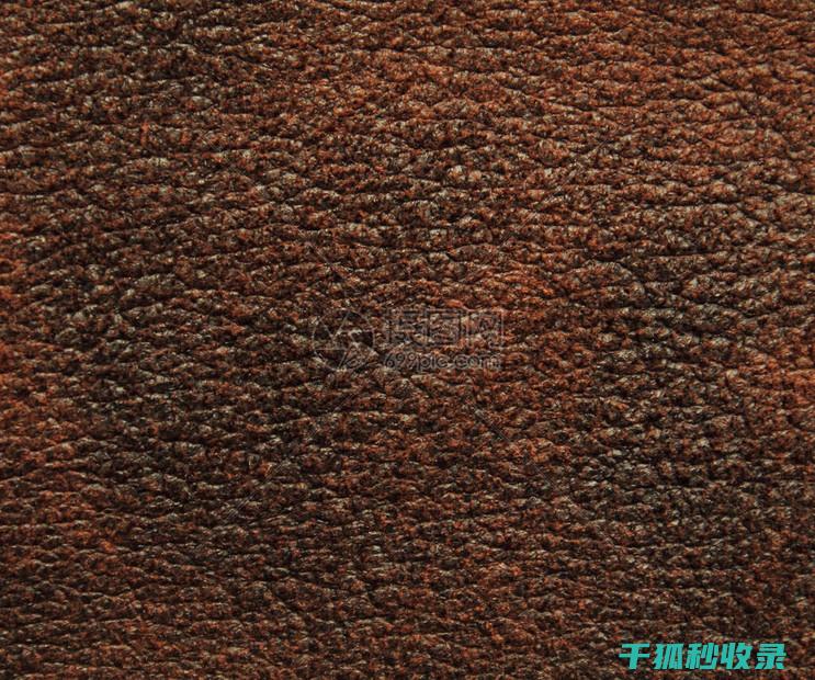 皮革去污全攻略：让你的皮革保持最佳状态 (皮革去污膏的使用方法)