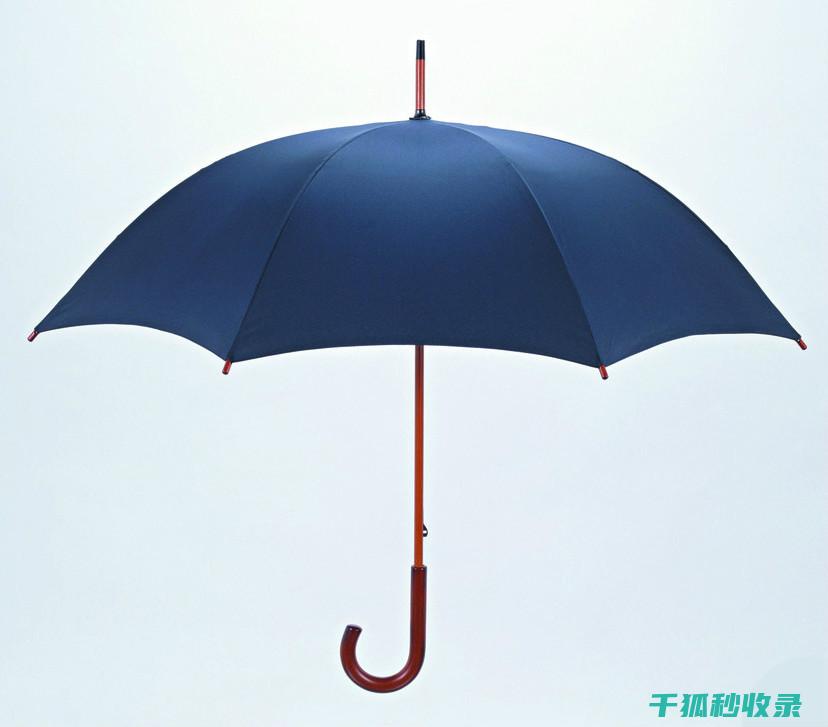 雨伞生锈？别慌，这里有实用的除锈建议 (雨伞生锈了怎么办小妙招)