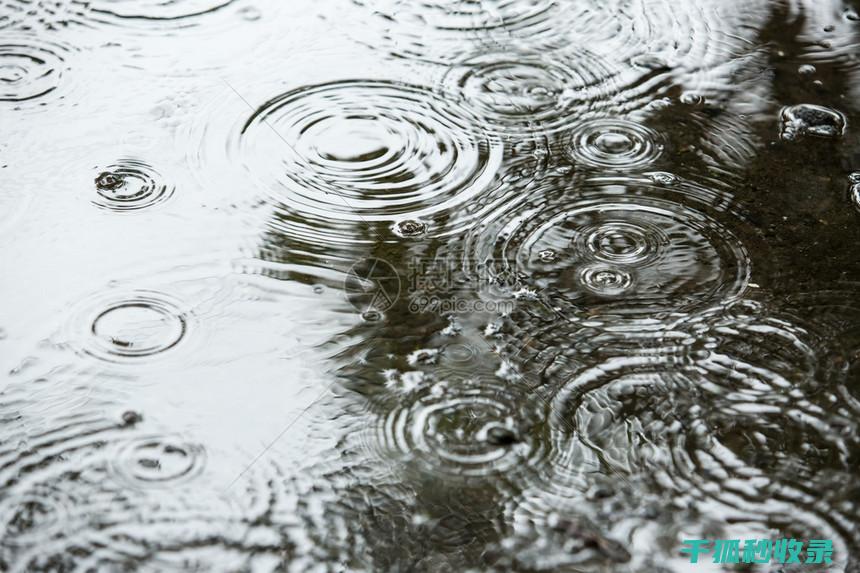 雨水中的最佳选择：如何挑选优质雨伞？ (雨水中的最佳水源)