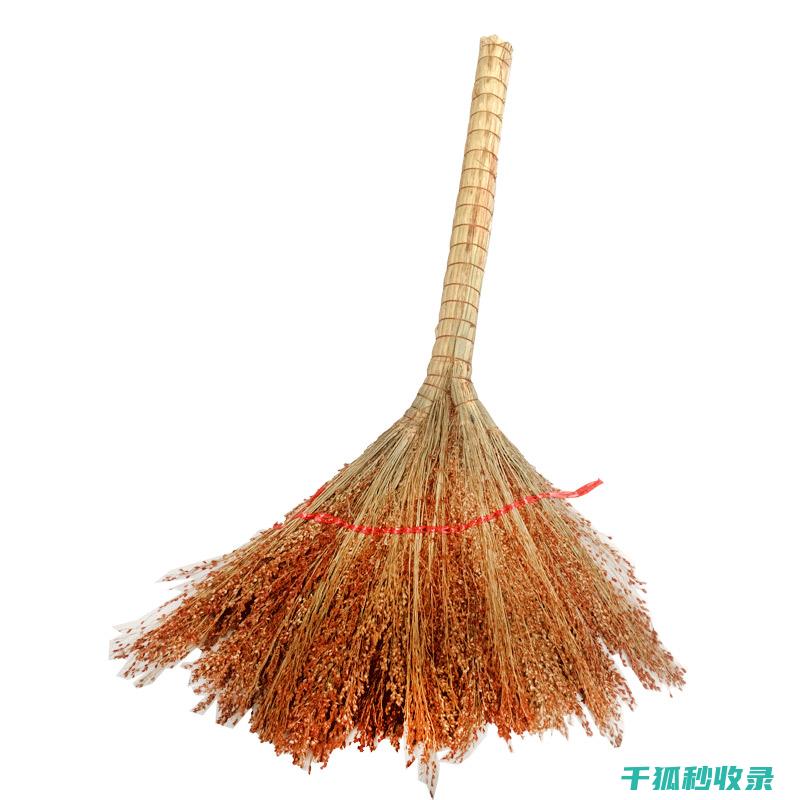 扫帚清洁的那些事：从日常维护到深度清洁 (扫帚清洗小妙招)