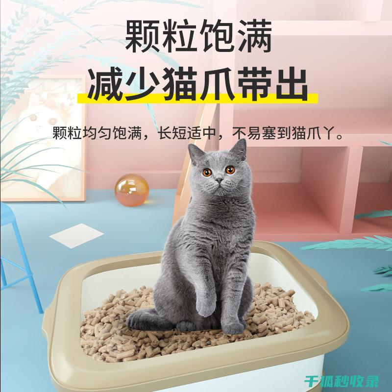 猫砂除臭新发现：天然草本配方的神奇效果 (猫砂消臭)