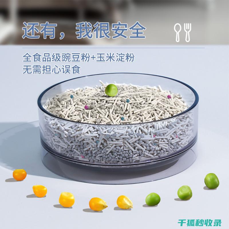 猫砂除臭新趋势：从单一功能到多功能的拓展 (猫砂除臭新趋势图)