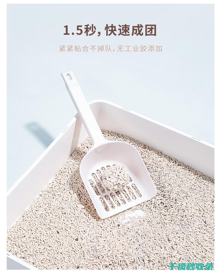 猫砂除臭新探索：从传统猫砂到新型猫砂的变革 (猫砂除臭效果测试)