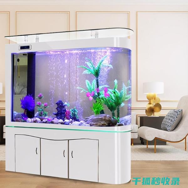 鱼缸清洁频率：何时该更换过滤棉 (鱼缸清洁频率多少合适)